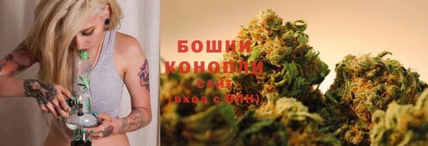 трава Абаза