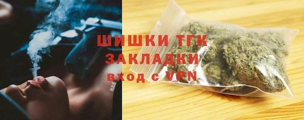 ГАЛЛЮЦИНОГЕННЫЕ ГРИБЫ Сатка