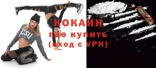 ГАЛЛЮЦИНОГЕННЫЕ ГРИБЫ Сатка