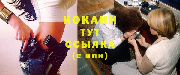 крисы Гусев